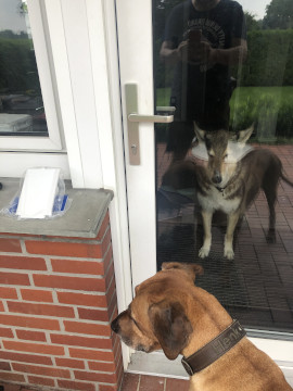 Bild "Henkabenteuer:damon_hinter_der_tuer_01.jpg"