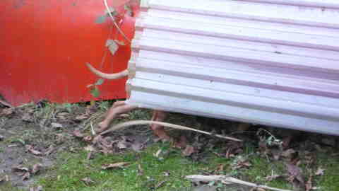 Bild "henk_am_kanu.jpg"