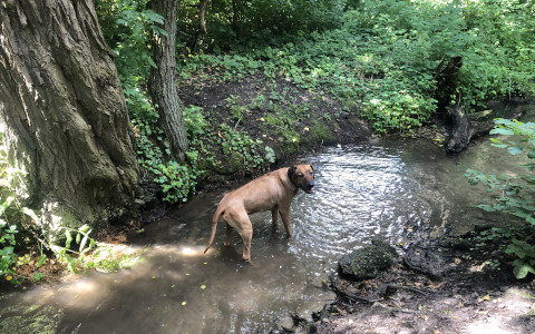 Bild "Henkabenteuer:henk_bei_den_sieben_quellen_01.jpg"