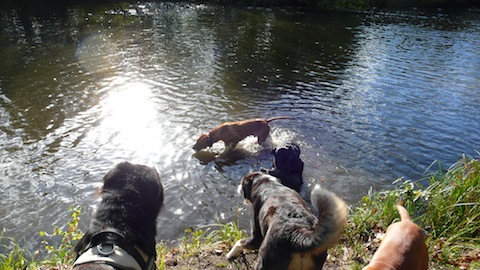 Bild "henk_beim_klaeff-treff_07.jpg"