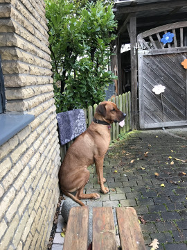 Bild "Henkabenteuer:henk_im_trockenen_01.jpg"