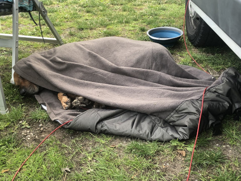 Bild "Henkabenteuer:henk_in_der_decke_02.jpg"