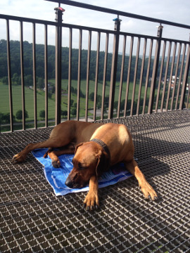 Bild "Henkabenteuer:henk_skywalker_01.jpg"