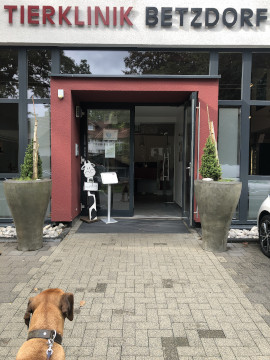 Bild "Henkabenteuer:henk_vor_der_tierklinik_01.jpg"