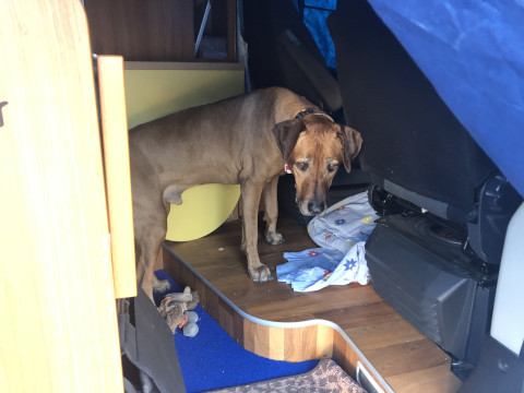 Bild "Henkabenteuer:henk_will_los_02.jpg"