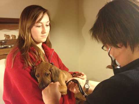 Bild "henks_untersuchung.jpg"