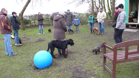 Bild "hundeschule_01.JPG"