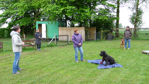 Bild "hundeschule_03.jpg"