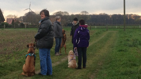 Bild "hundeschule_07.jpg"