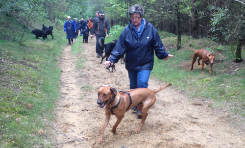 Bild "klaeff-treff_110514.jpg"