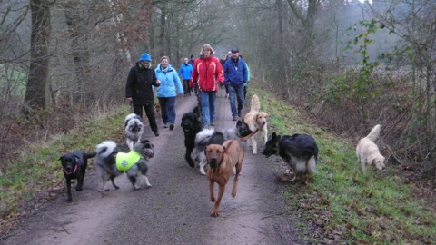 Bild "klaeff-treff_141214.jpg"