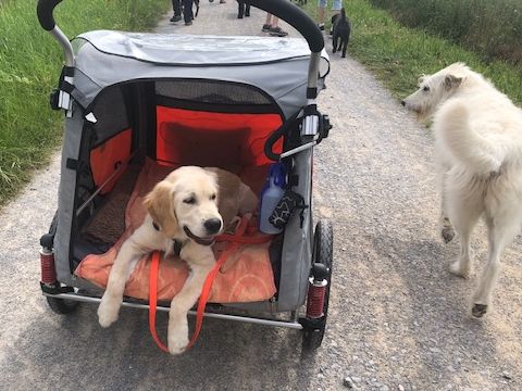 Bild "Henkrunden:joy_im_privatcabrio_01.jpg"